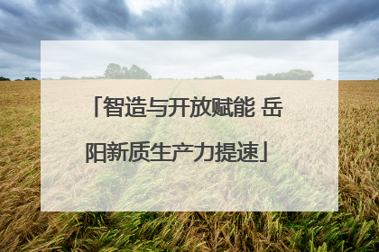 智造与开放赋能 岳阳新质生产力提速