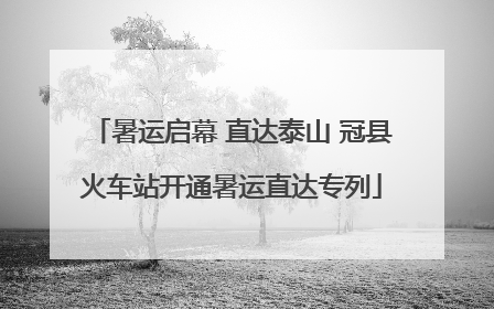 暑运启幕 直达泰山 冠县火车站开通暑运直达专列
