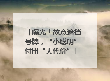曝光！故意遮挡号牌，“小聪明”付出“大代价”