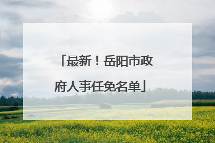 最新！岳阳市政府人事任免名单