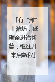 有“潍”丨潍坊：砥砺奋进谱新篇，继往开来启新程