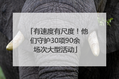 有速度有尺度！他们守护30项90余场次大型活动