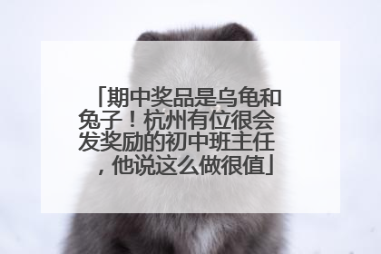 期中奖品是乌龟和兔子！杭州有位很会发奖励的初中班主任，他说这么做很值