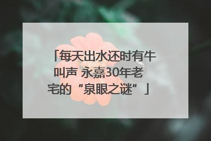 每天出水还时有牛叫声 永嘉30年老宅的“泉眼之谜”