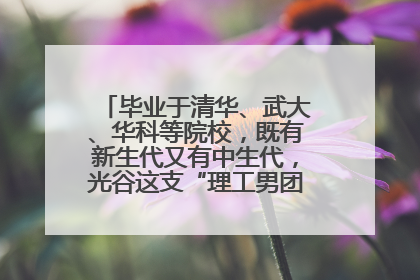 毕业于清华、武大、华科等院校，既有新生代又有中生代，光谷这支“理工男团”为何“出道”？