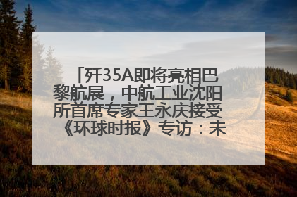 歼35A即将亮相巴黎航展，中航工业沈阳所首席专家王永庆接受《环球时报》专访：未来数量可以有很多