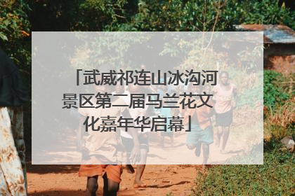 武威祁连山冰沟河景区第二届马兰花文化嘉年华启幕