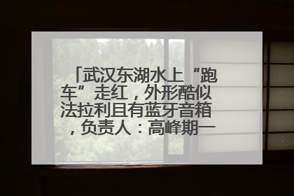 武汉东湖水上“跑车”走红，外形酷似法拉利且有蓝牙音箱，负责人：高峰期一两百人排队