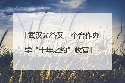武汉光谷又一个合作办学“十年之约”收官