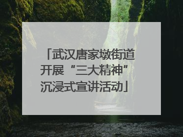 武汉唐家墩街道开展“三大精神”沉浸式宣讲活动