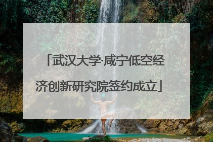 武汉大学·咸宁低空经济创新研究院签约成立