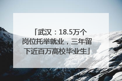 武汉：18.5万个岗位托举就业，三年留下近百万高校毕业生
