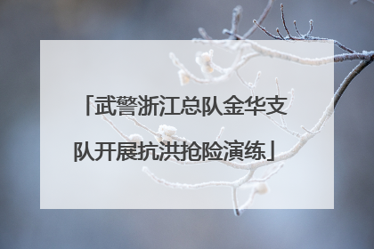 武警浙江总队金华支队开展抗洪抢险演练