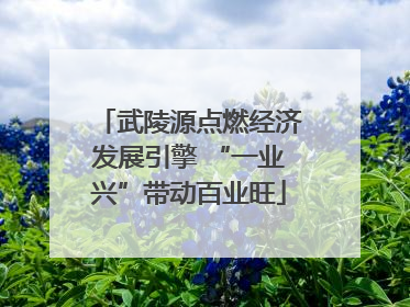 武陵源点燃经济发展引擎 “一业兴”带动百业旺