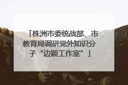 株洲市委统战部、市教育局调研党外知识分子“边颖工作室”