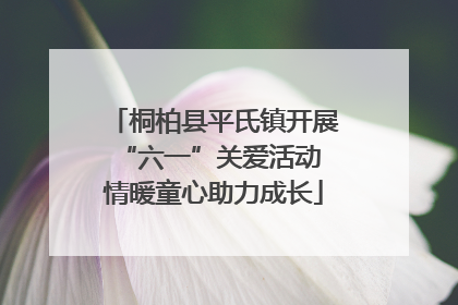 桐柏县平氏镇开展“六一”关爱活动 情暖童心助力成长