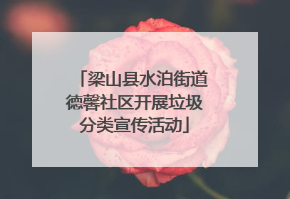 梁山县水泊街道德馨社区开展垃圾分类宣传活动