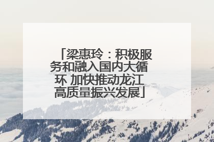 梁惠玲：积极服务和融入国内大循环 加快推动龙江高质量振兴发展