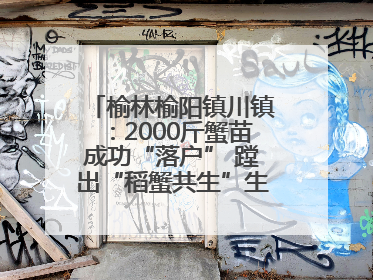 榆林榆阳镇川镇：2000斤蟹苗成功“落户” 蹚出“稻蟹共生”生态种养新路径