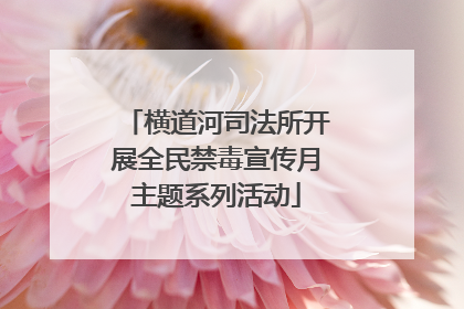 横道河司法所开展全民禁毒宣传月主题系列活动