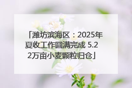 潍坊滨海区：2025年夏收工作圆满完成 5.22万亩小麦颗粒归仓