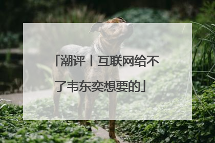 潮评丨互联网给不了韦东奕想要的