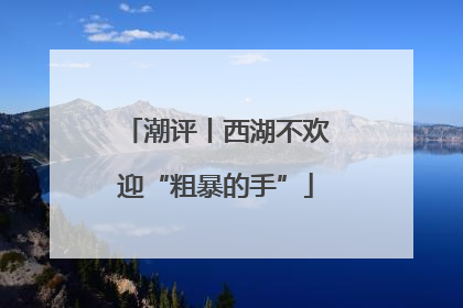 潮评丨西湖不欢迎“粗暴的手”