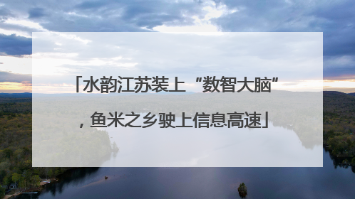 水韵江苏装上“数智大脑”，鱼米之乡驶上信息高速