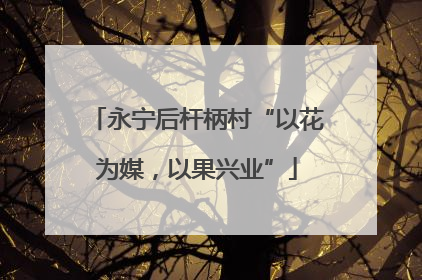 永宁后杆柄村“以花为媒，以果兴业”
