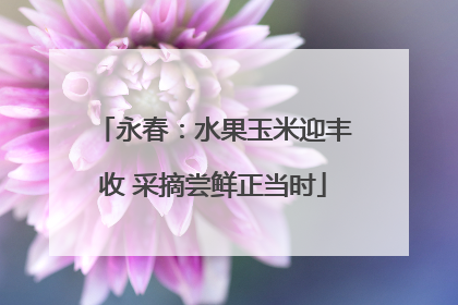 永春：水果玉米迎丰收 采摘尝鲜正当时