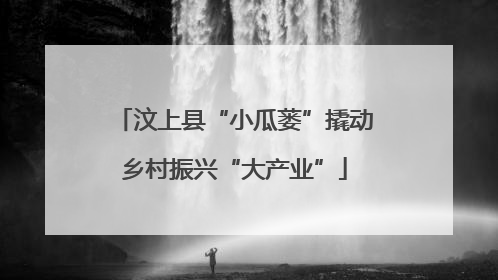 汶上县“小瓜蒌”撬动乡村振兴“大产业”