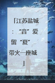 江苏盐城：“音”爱留“夏” 带火一座城