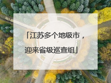 江苏多个地级市，迎来省级巡查组