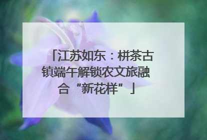 江苏如东：栟茶古镇端午解锁农文旅融合“新花样”
