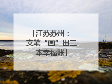 江苏苏州：一支笔“画”出三本幸福账