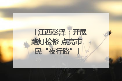 江西彭泽：开展路灯检修 点亮市民“夜行路”
