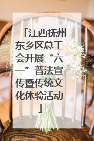 江西抚州东乡区总工会开展“六一”普法宣传暨传统文化体验活动