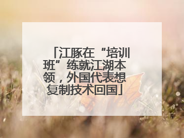 江豚在“培训班”练就江湖本领，外国代表想复制技术回国