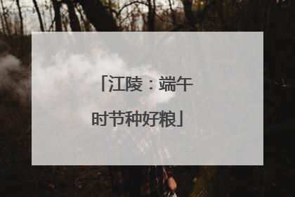 江陵：端午时节种好粮
