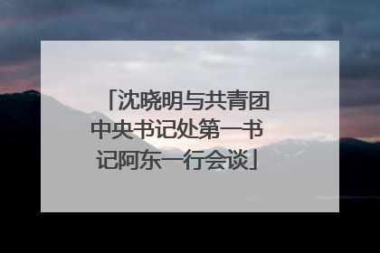 沈晓明与共青团中央书记处第一书记阿东一行会谈