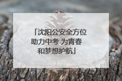沈阳公安全方位助力中考 为青春和梦想护航