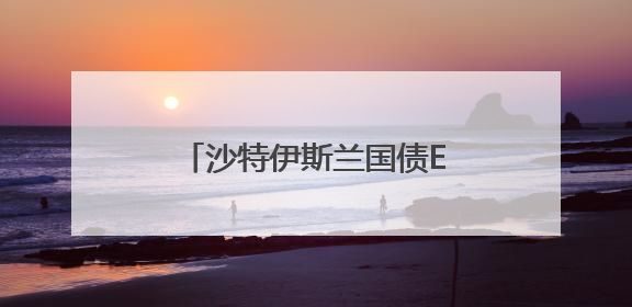 沙特伊斯兰国债ETF在港上市 两地资本市场互动频密