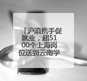 沪滇携手促就业，超5100个上海岗位送到云南学子“家门口”