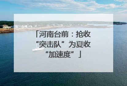 河南台前：抢收“突击队”为夏收“加速度”