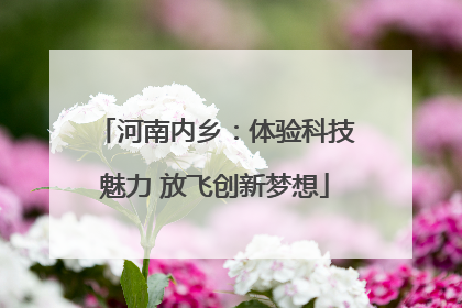 河南内乡：体验科技魅力 放飞创新梦想