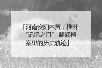 河南安阳内黄：推开“记忆之门” 翻阅档案里的历史轨迹