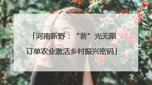 河南新野：“薯”光无限 订单农业激活乡村振兴密码