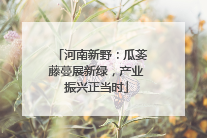 河南新野：瓜蒌藤蔓展新绿，产业振兴正当时