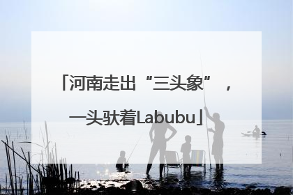 河南走出“三头象”，一头驮着Labubu
