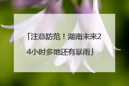 注意防范！湖南未来24小时多地还有暴雨